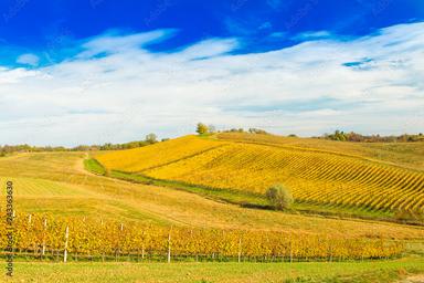 Poljoprivreda nizinske Hrvatske