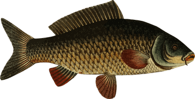 Gospodarstvo nizinskih krajeva