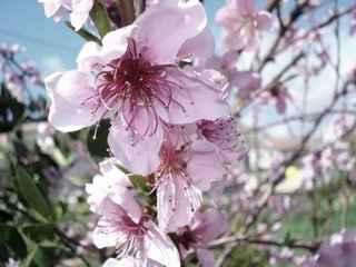 Uljepšajmo još jedan kišni dan