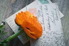 Poslovne komunikacije, 1. razred - Suradnička nastava knjižničarke Medicinske škole i nastavnice Poslovnih komunikacija