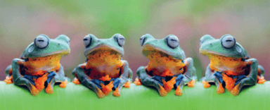 Pisano zbrajanje do 1000 (352 + 164) – vježbanje 