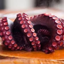 RAKOVI, GLAVONOŠCI I ŠKOLJKAŠI