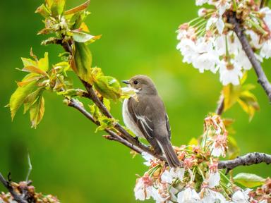 Obilježja živih bića
