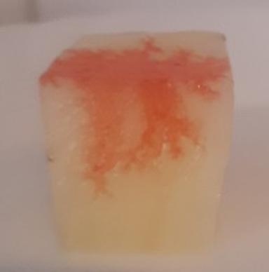 ISTRAŽIVAČKI RAD Zašto su stanice male 