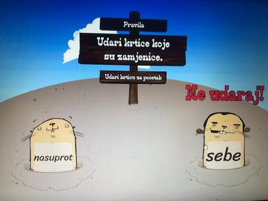 Zamjenice - vježba (2)