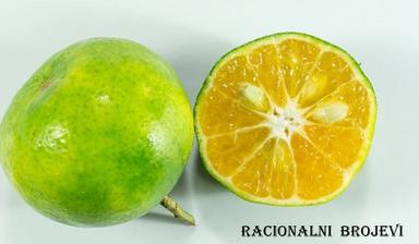 Skup racionalnih i realnih brojeva