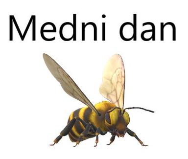 Medni dan