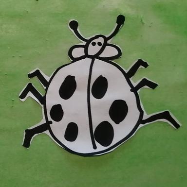 KUKCI – kombinirana tehnika - obrisna i gradbena crta
Likovna kultura na daljinu
