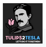 Tulips2Tesla-eTwinning project
