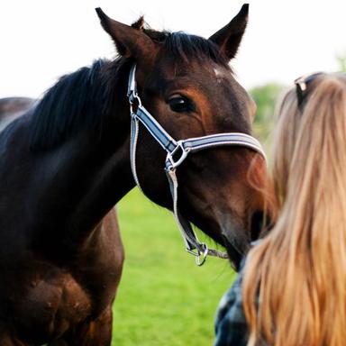 Predavanje o Slavoniji