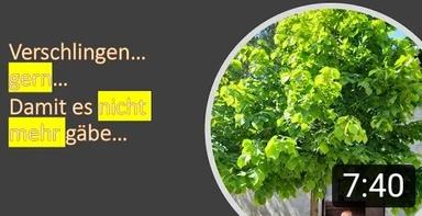 Ich würde verschlingen, damit es nicht gäbe