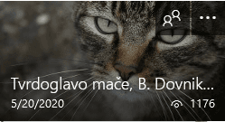 Tvrdoglavo mače, B. Dovniković/Mediji i kultura, 1. razred