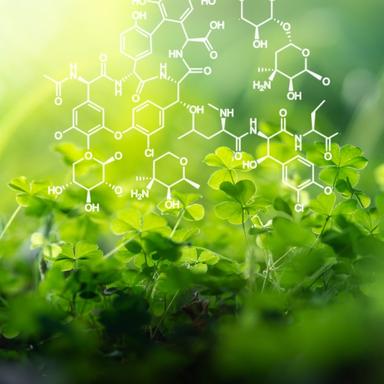 Prezentacije-Državna matura(botanika i zoologija)