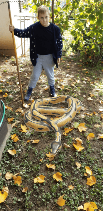 3D modeli životinja i interakcija s njima