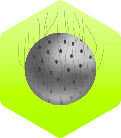 BIOLOGIJA 8 - Modul 7 - Sustav organa za izlučivanje