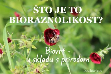 Video - Što je to bioraznolikost?