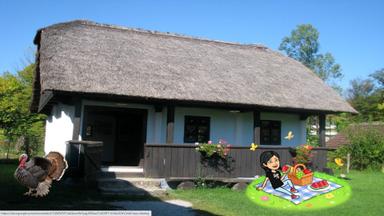 Književni jezik  i zavičajni govor