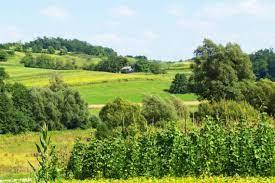 Gospodarstvo brežuljkastih krajeva Republike Hrvatske