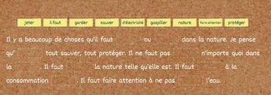 Francuski jezik-Environnemet