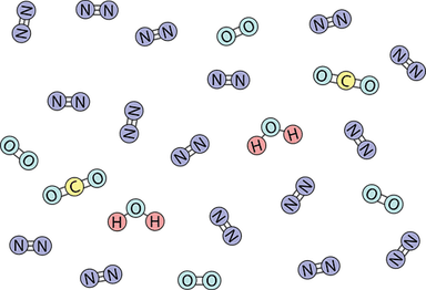 Izmjena plinova s okolišem 