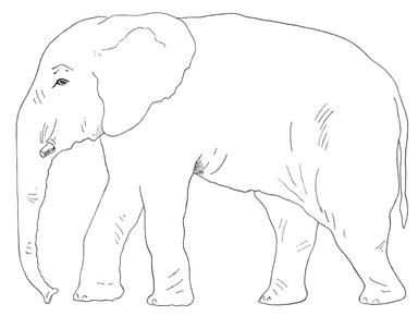 Dubravko Horvatić - Stanari u slonu