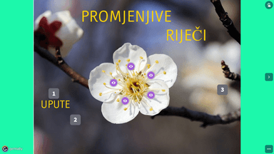 Genially - Promjenjive riječi