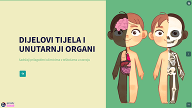 Dijelovi tijela i unutarnji organi-prezentacija