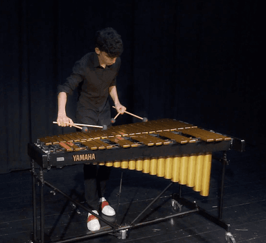 Priča o udaraljkama - Vibrafon