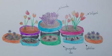 Projekt građanin Cvjetna čarolija