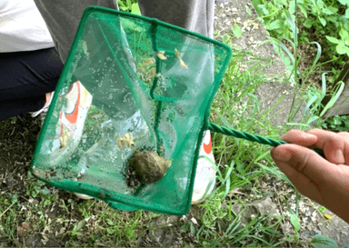 Nastavni listić - terenska nastava Novi Dvori