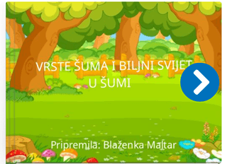 Vrste šuma i biljni svijet u šumi