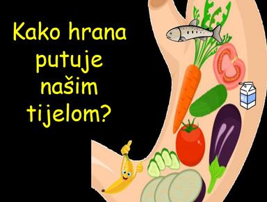 Priprema za izvođenje nastavnog sata za učenike s teškoćama_Kako hrana putuje našim tijelom