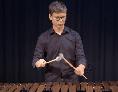 Priča o udaraljkama - Marimba