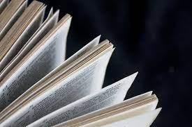 Družba Pere Kvržice - kviz