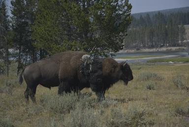 Prirodna baština SAD-a i Kanade
