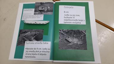 Svjestki dan močvara