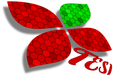 TESI-prilagođeni personalizirani sustav za izradu alata za komunikaciju u socijalnoj inkluziji učenika s teškoćama u verbalnoj komunikaciji 