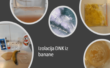 Istraživačka nastava u prirodi i društvu – radionica – pokusi, stavljanje slika na padlet