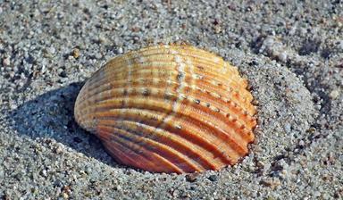 Metodička priprema za sat LK