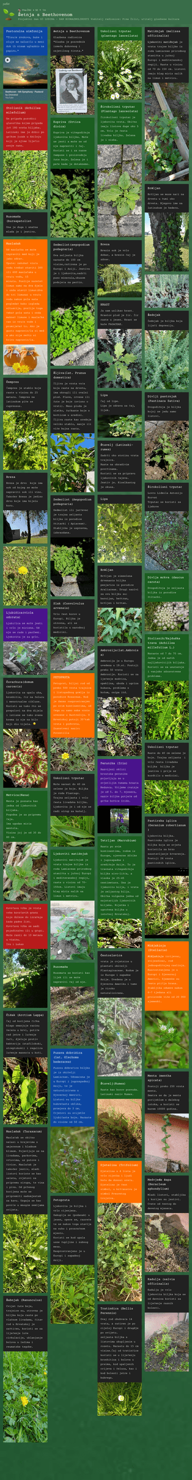 Šetnja s Beethovenom