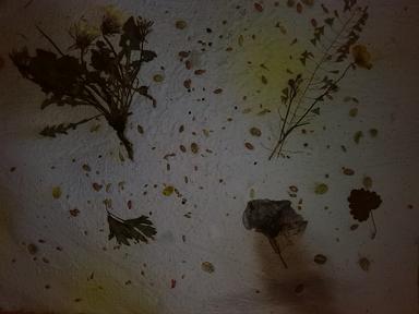 Otpad ne mora biti otpad 