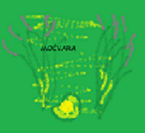 močvara-ekologija, priroda, vretence