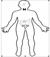 Nastavni materijali namijenjeni obradi nastavne jedinice: Endokrini sustav