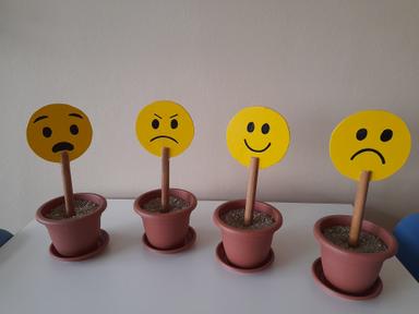 Kako se razvijaju naši osjećaji i kako ih izražavamo?