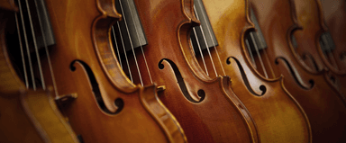 GLAZBENA KULTURA 5. RAZRED - Gudaća glazbala