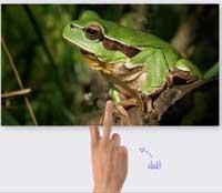 Na slovo, na slovo Ž