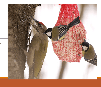 PPT - PROJEKTNA NASTAVA