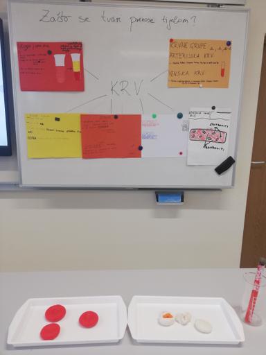 Priprema za blok sat nastavne jedinice KRV