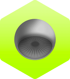 BIOLOGIJA 2 - Modul 4 - Gljive i lišajevi