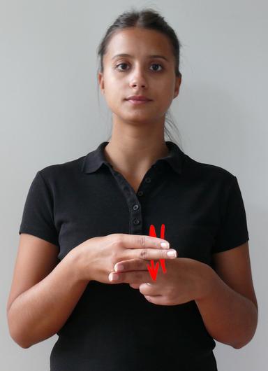 Radionica iz hrvatskog znakovnog jezika - medicinsko nazivlje